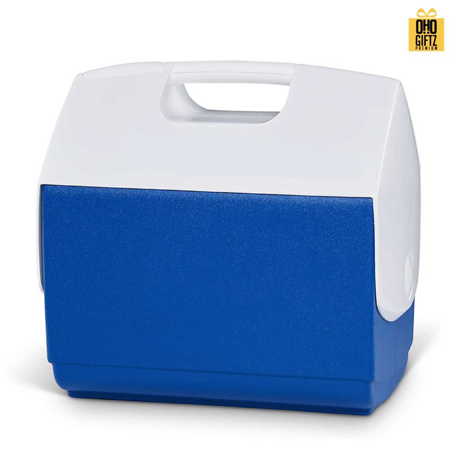 กระติกน้ำแข็งมีหูหิ้ว สกรีนโลโก้  ทำเป็นของพรีเมี่ยมได้