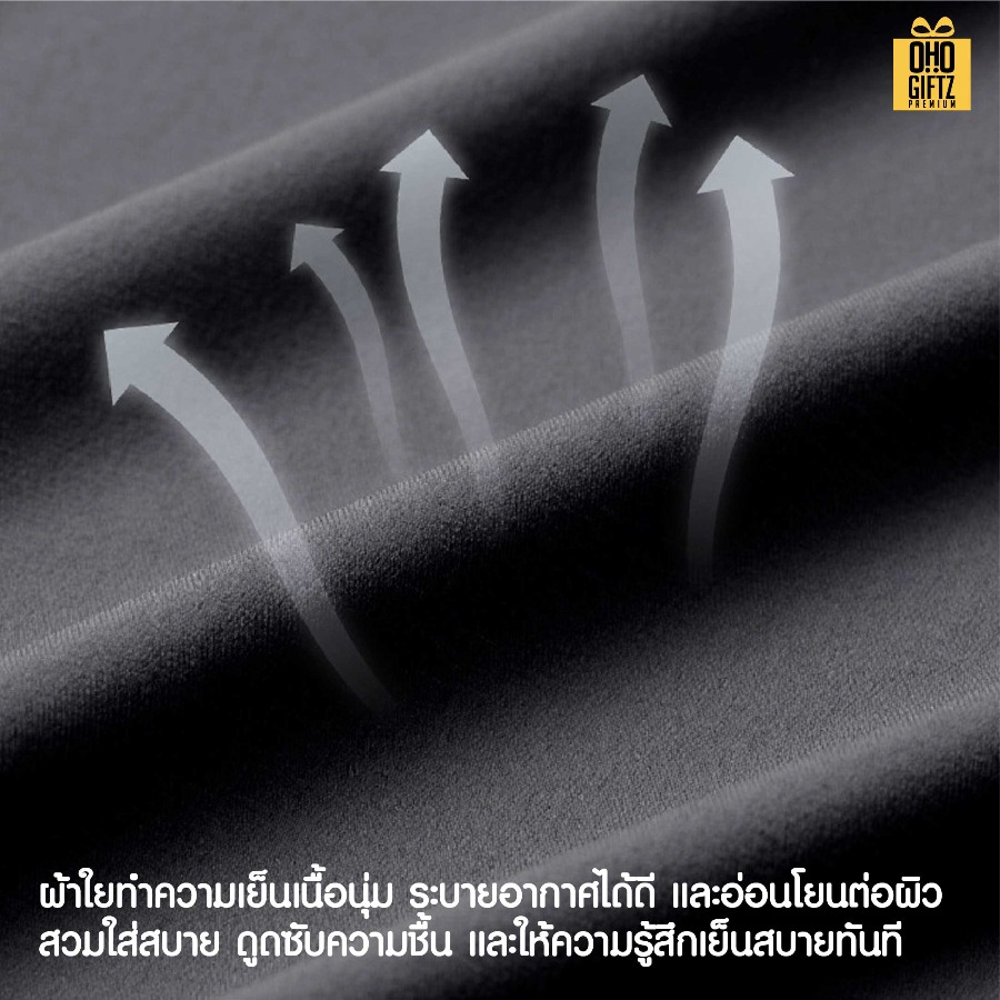 หมอนรองคอเป่าลมแบบพกพา สกรีนชื่อ สกรีนโลโก้ ทำเป็นของพรีเมี่ยมได้ 