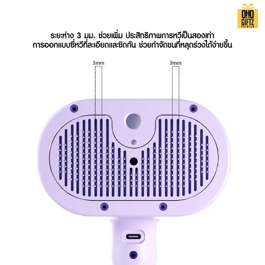 หวีแปรงขนสัตว์ พ่นละอองสเปรย์ สกรีนโลโก้ ทำเป็นของพรีเมี่ยมได้