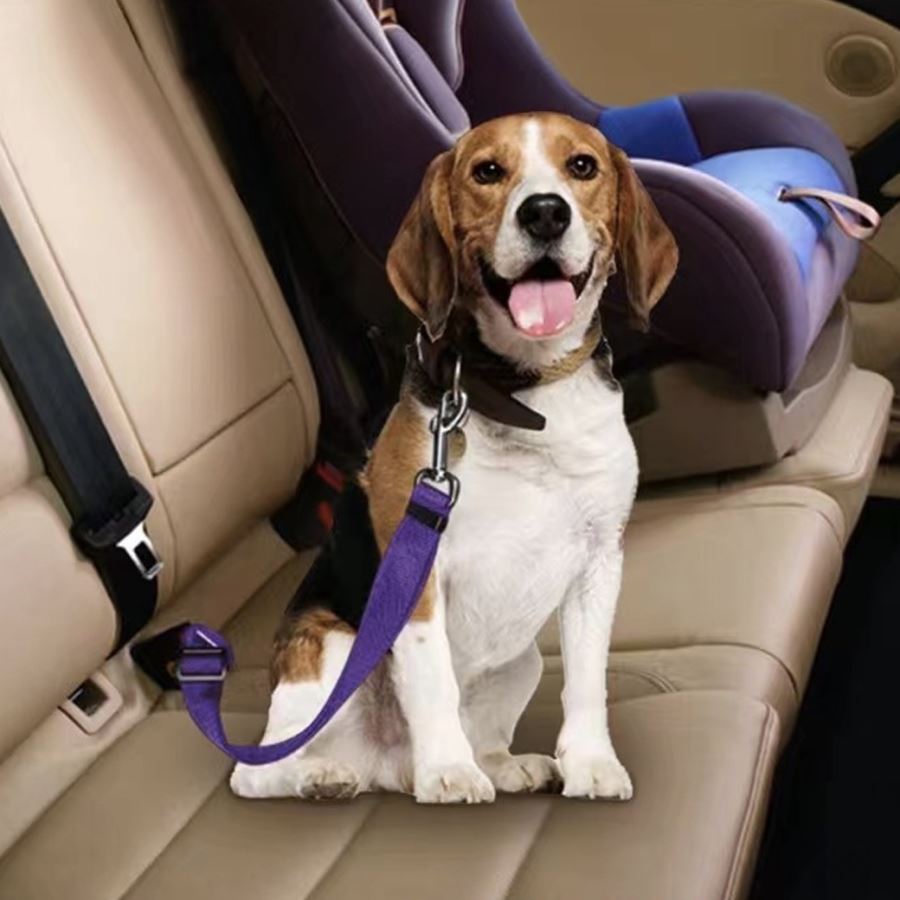 เข็มขัดนิรภัยสัตว์เลี้ยง สกรีนโลโก้ ทำเป็นของพรีเมี่ยม