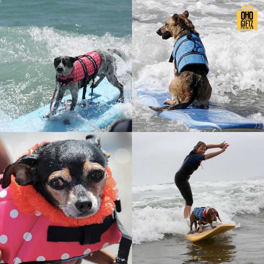 เสื้อชูชีพสำหรับสุนัข สกรีนโลโก้ ทำเป็นของพรีเมี่ยม